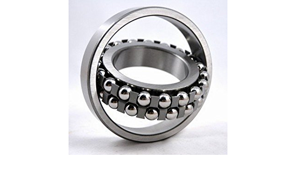 21316C - Self Aligning Bearing