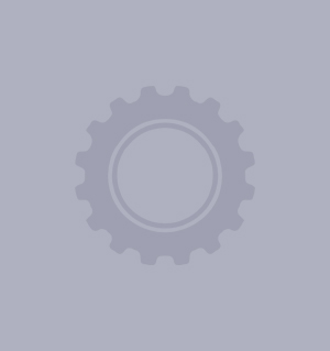 UCHA205 - Bearing Inserts